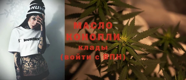 гашик Богородск