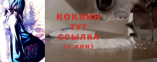гашик Богородск