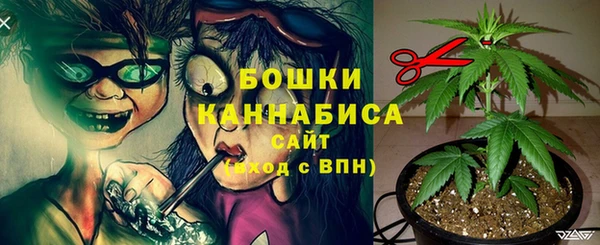прущие крисы Богородицк