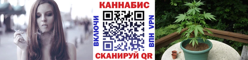 Купить  Нахабино  Бошки марихуана семена 